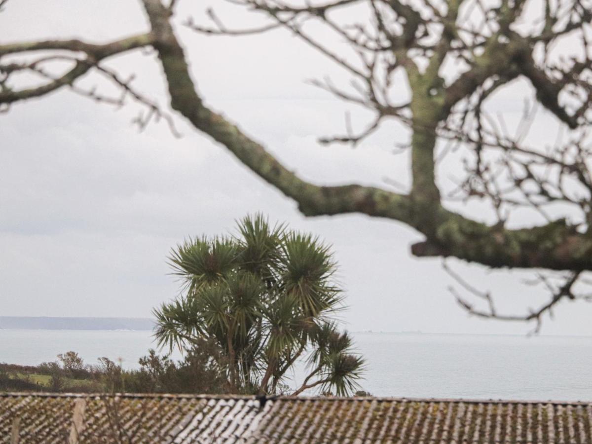 Bos Lowen Penzance Exteriér fotografie